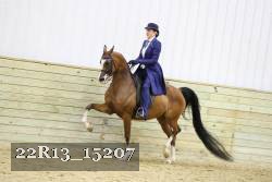 22R13_15207 proof