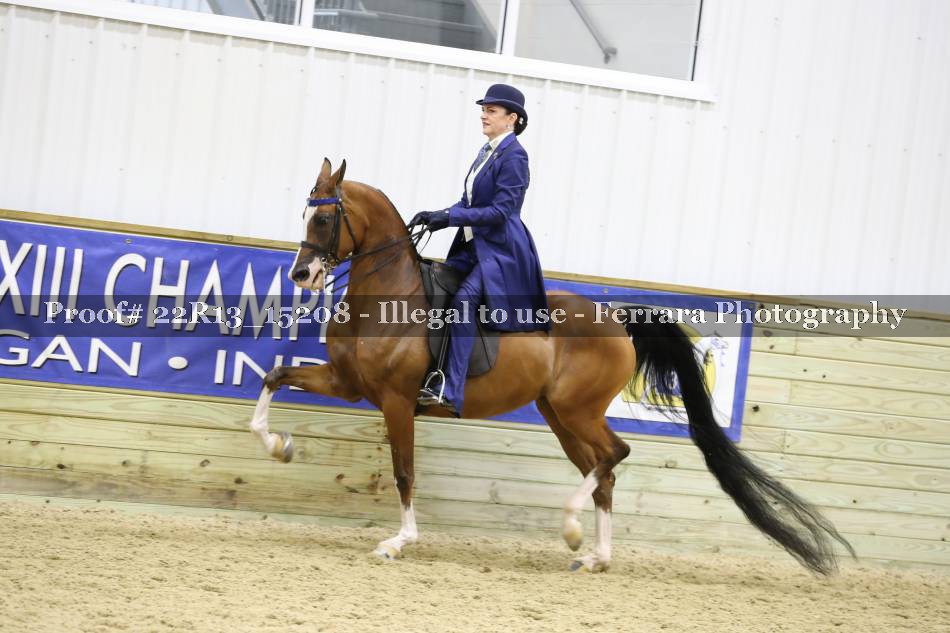 Proof 22R13_15208