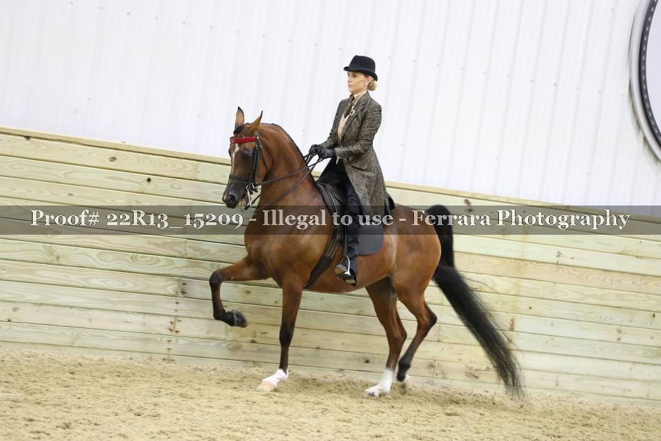 Proof 22R13_15209