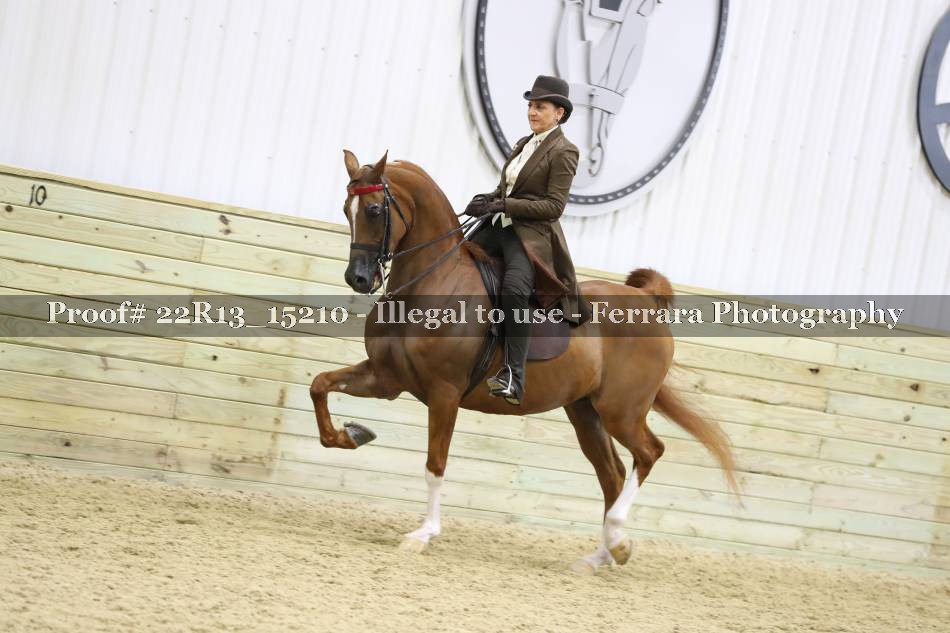Proof 22R13_15210