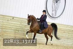 22R13_15212 proof
