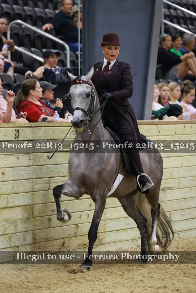 Proof 22R13_15215