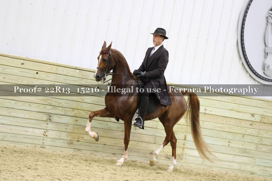 Proof 22R13_15216