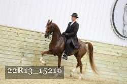 22R13_15216 proof