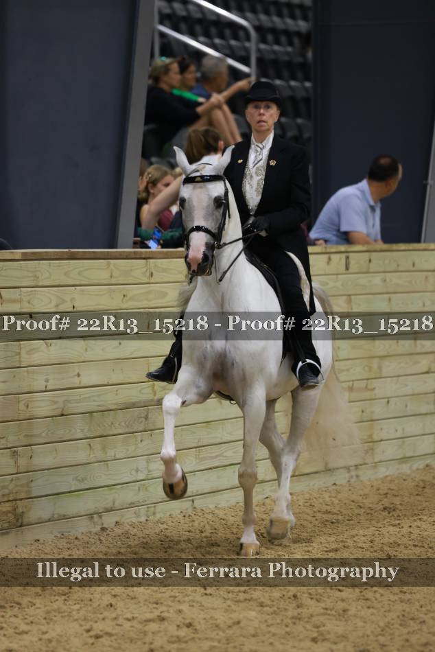 Proof 22R13_15218