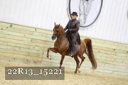 22R13_15221 proof