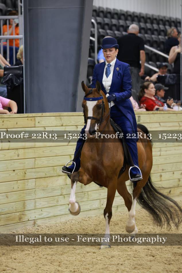 Proof 22R13_15223