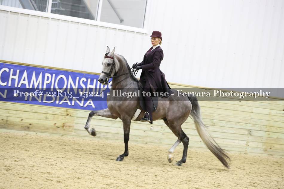 Proof 22R13_15224