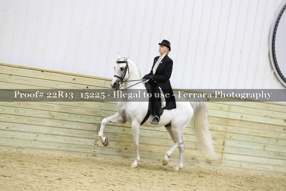 Proof 22R13_15225