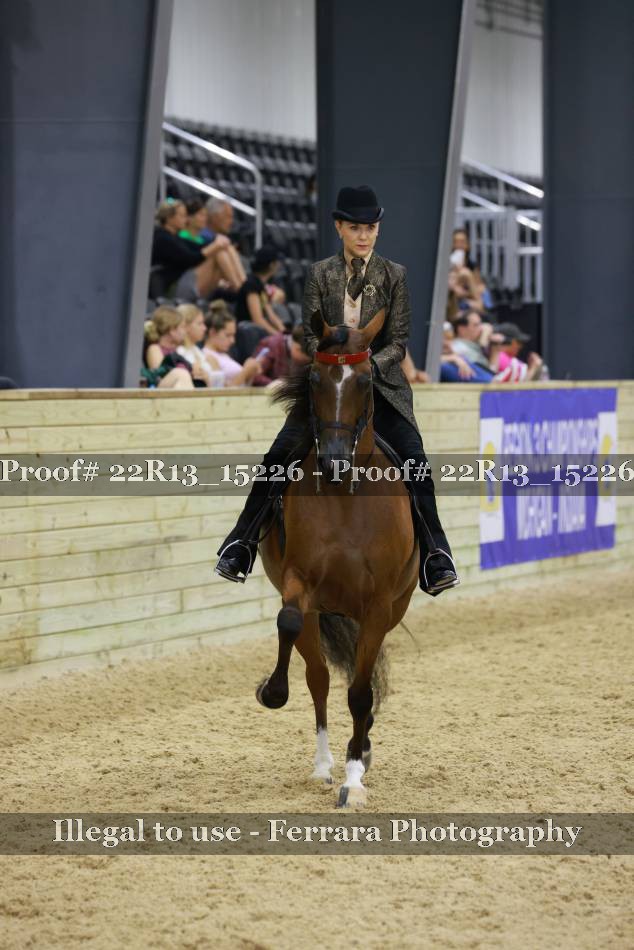 Proof 22R13_15226