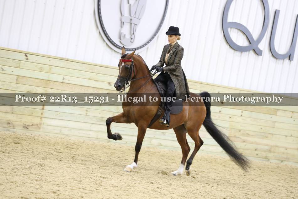 Proof 22R13_15231