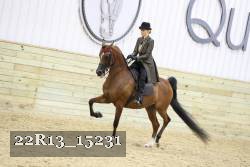 22R13_15231 proof