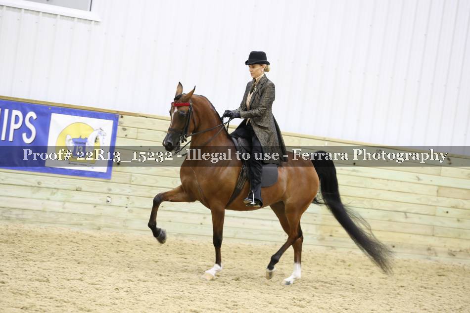 Proof 22R13_15232