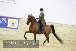 22R13_15232 proof