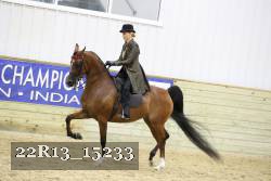 22R13_15233 proof