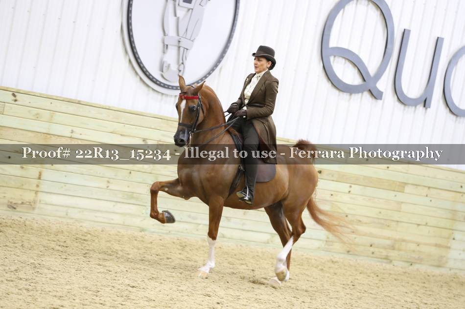 Proof 22R13_15234