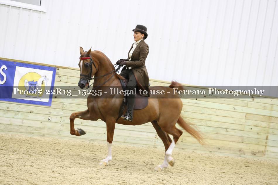 Proof 22R13_15235