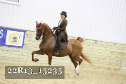 22R13_15235 proof