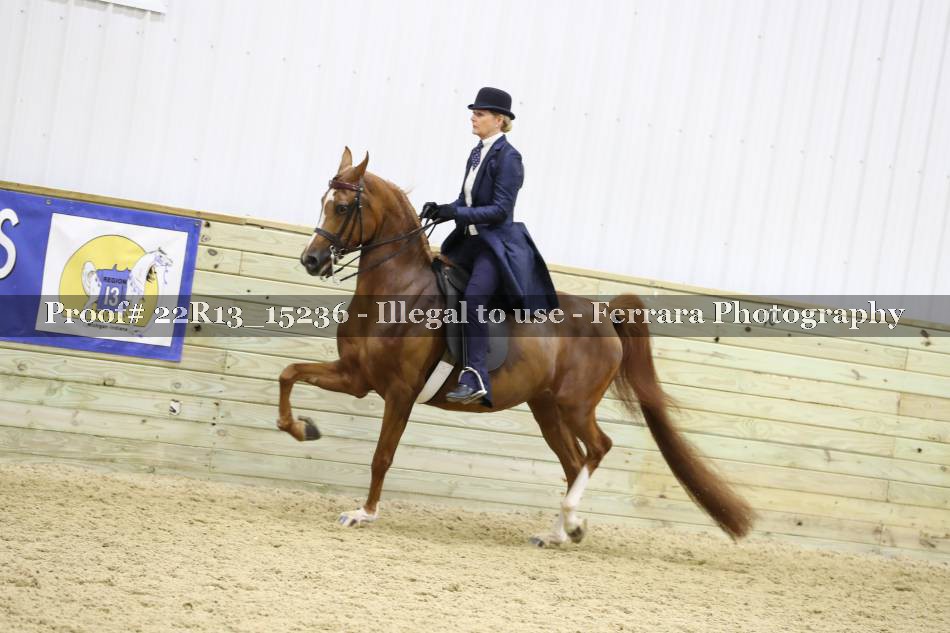 Proof 22R13_15236