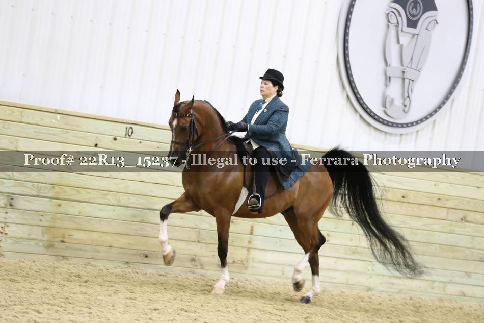 Proof 22R13_15237