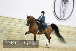 22R13_15237 proof