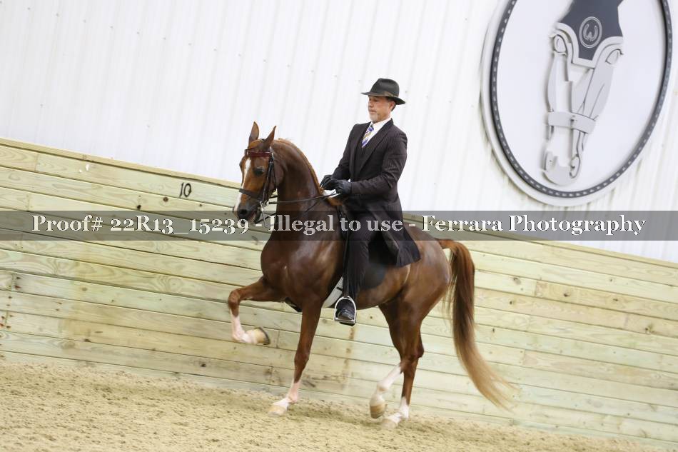 Proof 22R13_15239