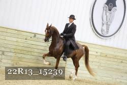 22R13_15239 proof