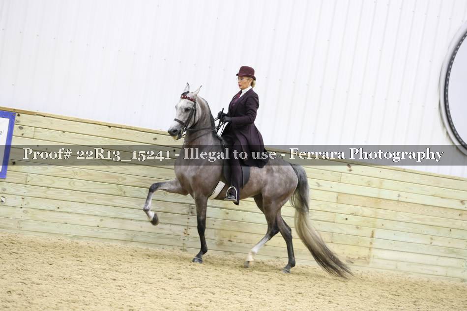 Proof 22R13_15241