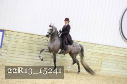 22R13_15241 proof