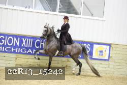22R13_15242 proof