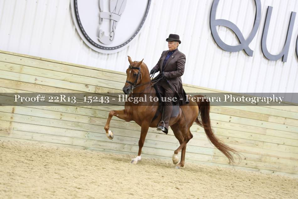 Proof 22R13_15243