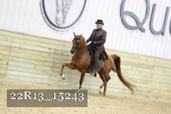 22R13_15243 proof