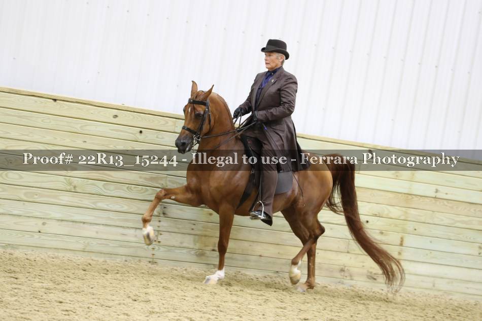 Proof 22R13_15244