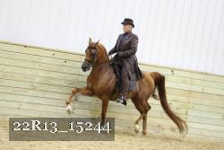22R13_15244 proof