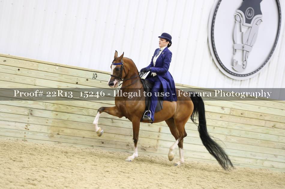 Proof 22R13_15246