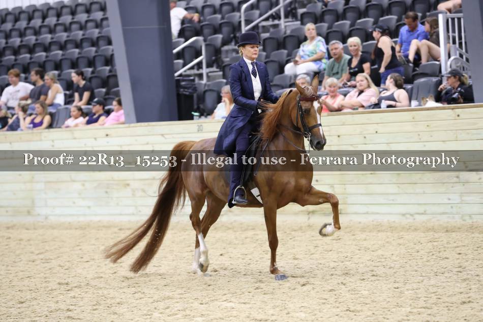Proof 22R13_15253