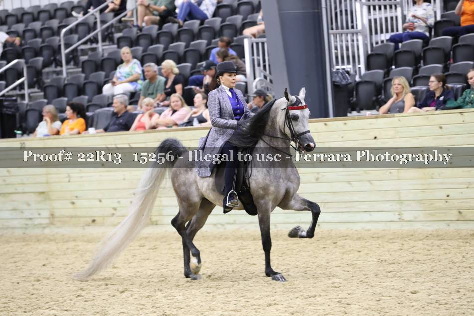 Proof 22R13_15256