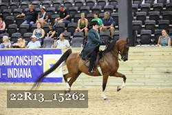 22R13_15262 proof