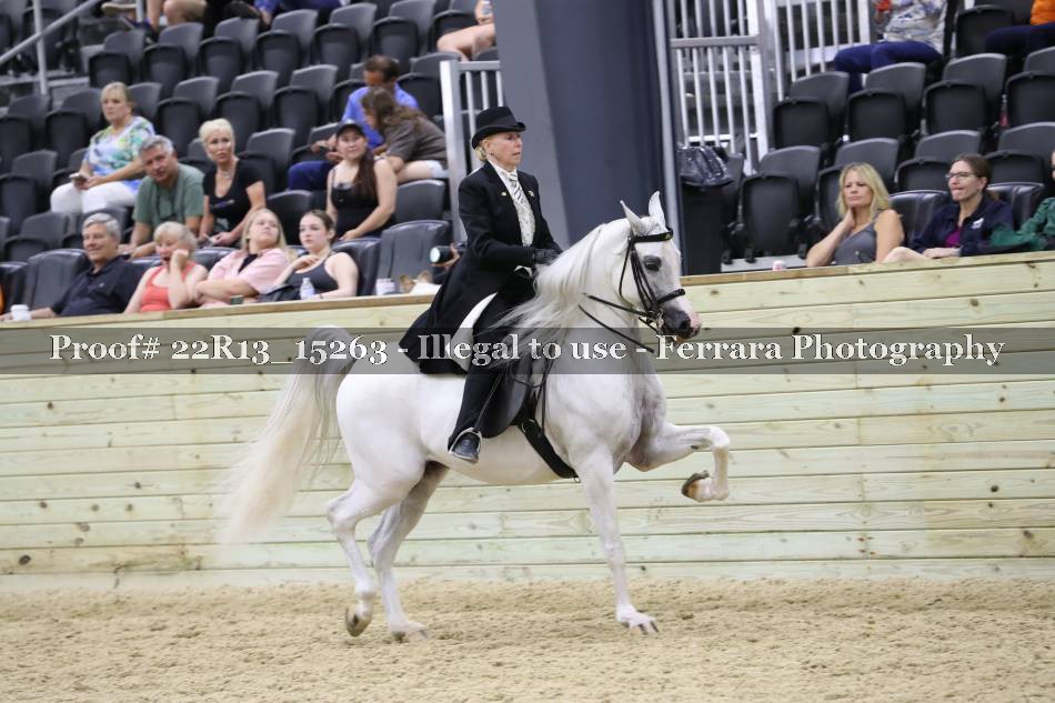 Proof 22R13_15263
