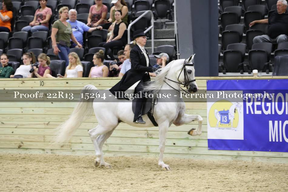 Proof 22R13_15264