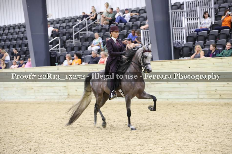 Proof 22R13_15272