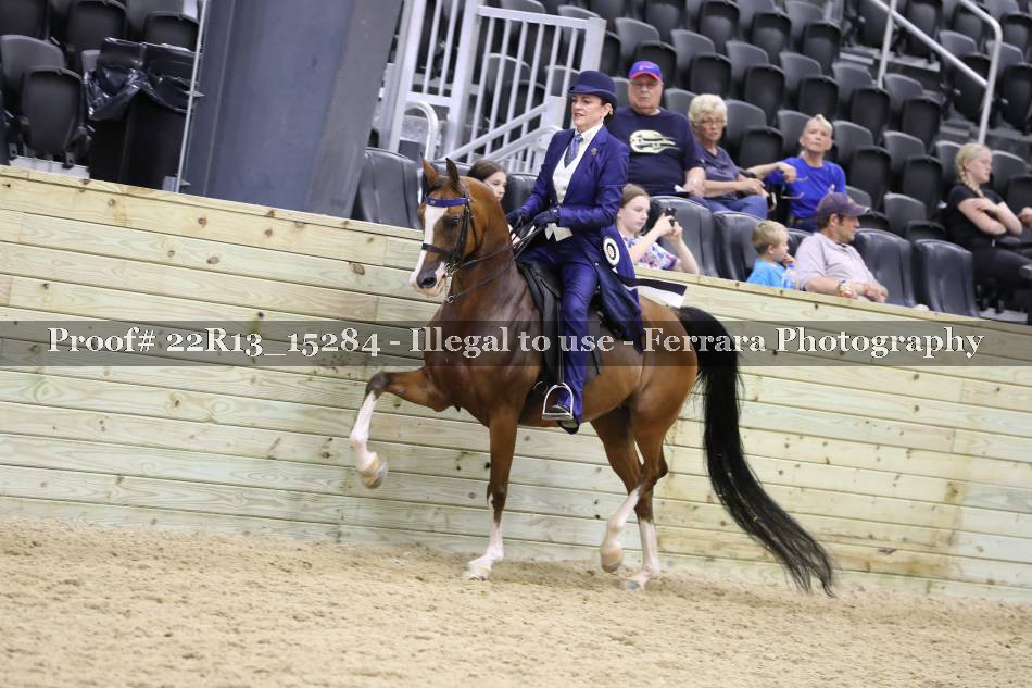 Proof 22R13_15284