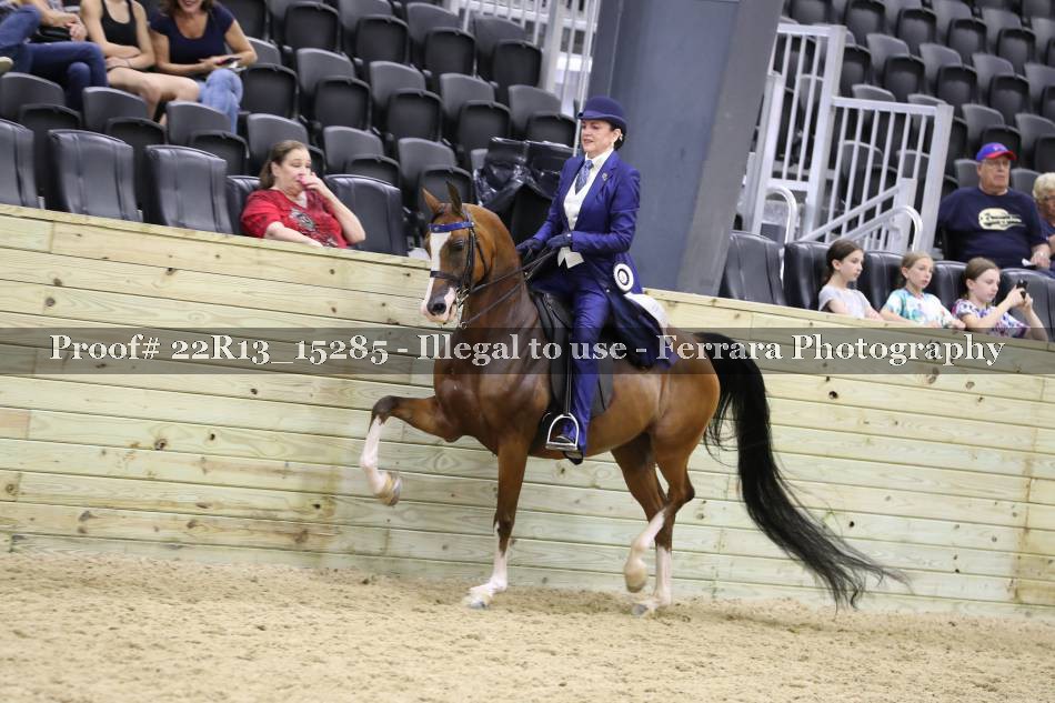 Proof 22R13_15285