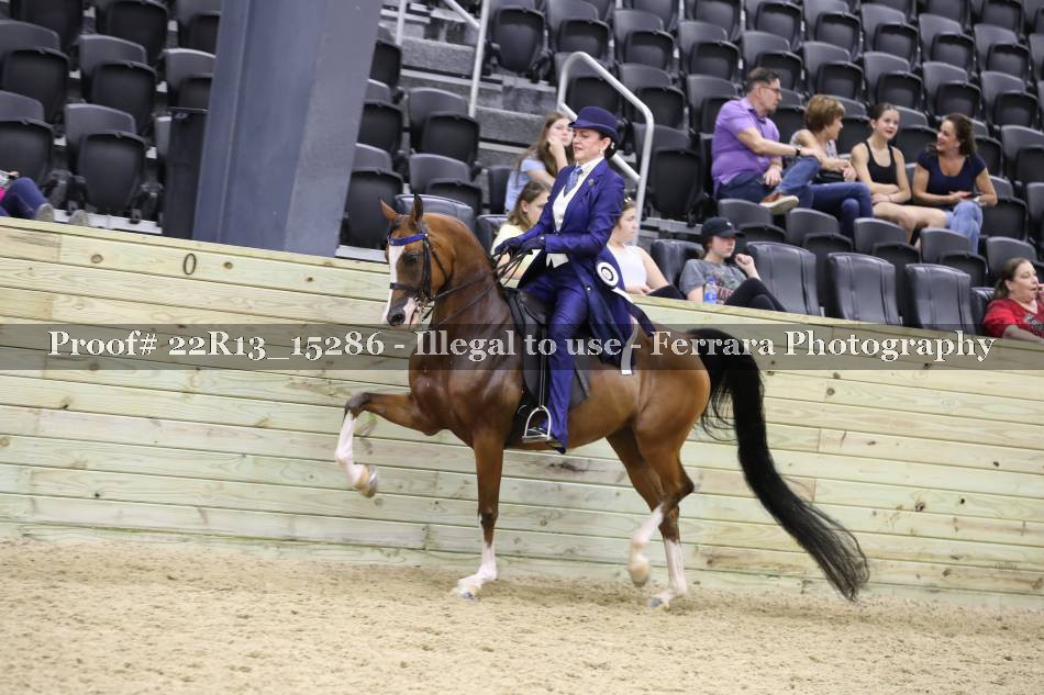 Proof 22R13_15286