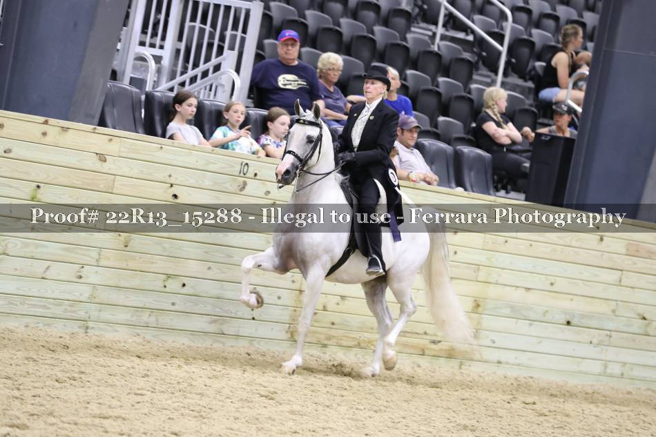 Proof 22R13_15288