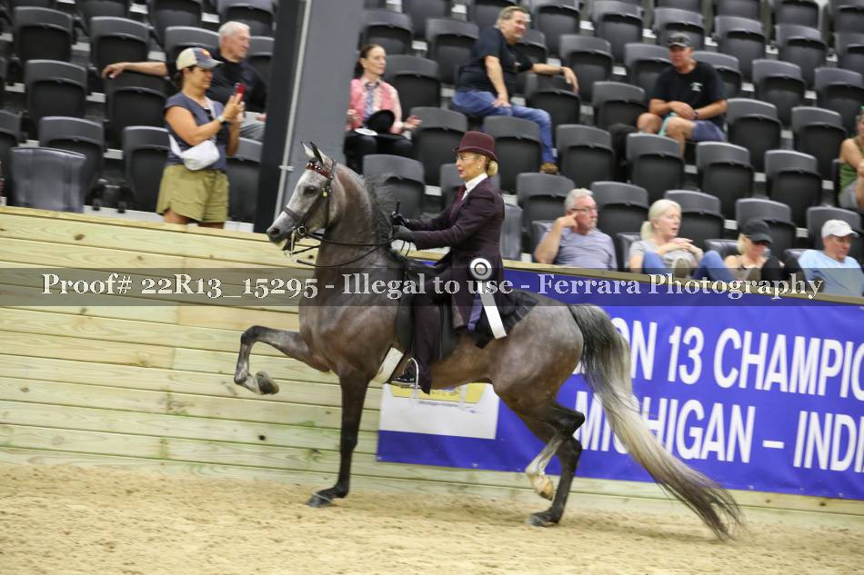 Proof 22R13_15295