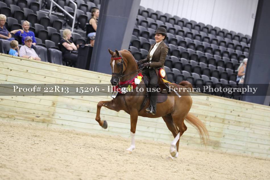 Proof 22R13_15296