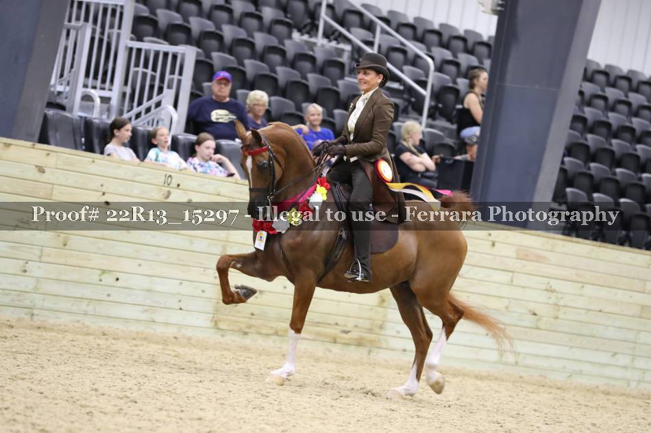 Proof 22R13_15297