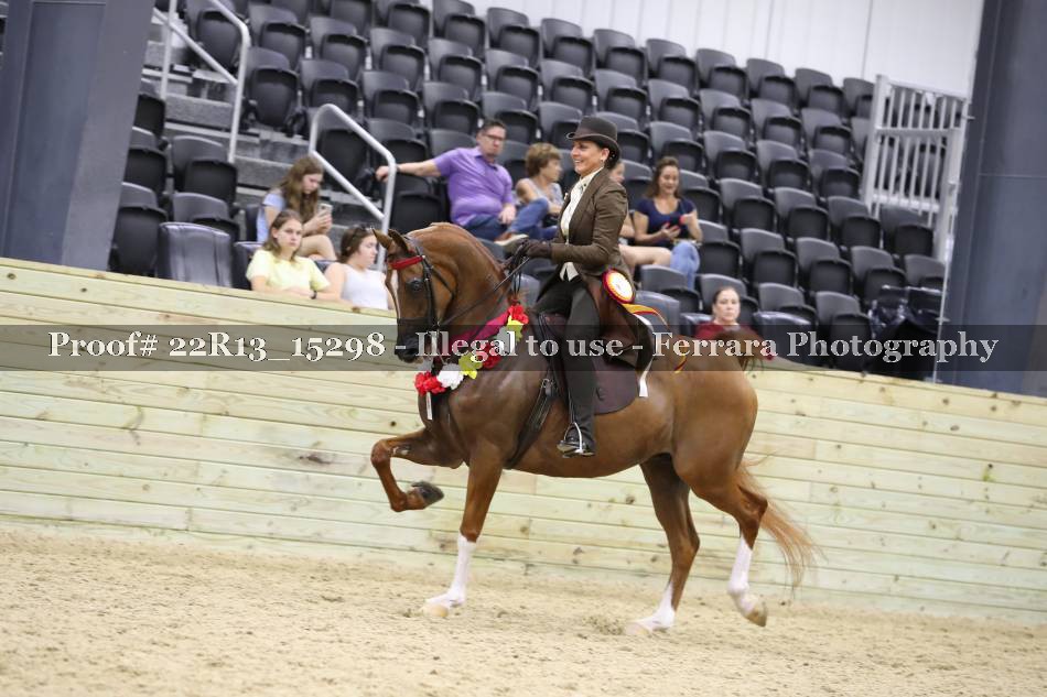 Proof 22R13_15298