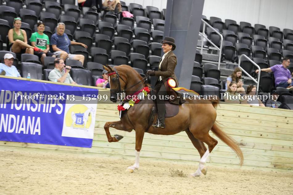 Proof 22R13_15299